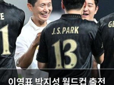 이영표 박지성 월드컵 출전 가능성에 관심 집중