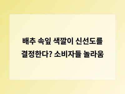 배추 신선도는 단면이 아닌 속색으로 확인해야 한다