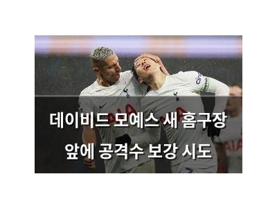 데이비드 모예스 새 홈구장 앞에 공격수 보강 시도