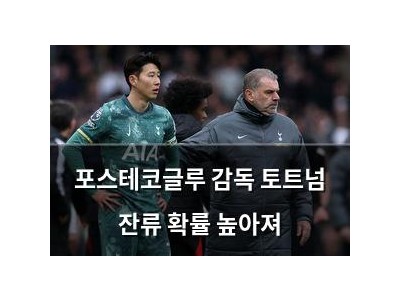 포스테코글루 감독 토트넘 잔류 확률 높아져