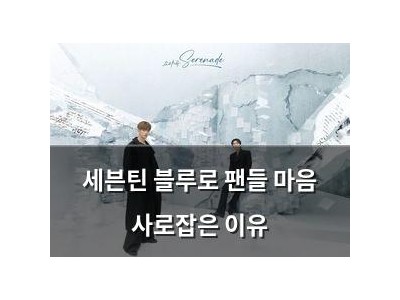 세븐틴 블루로 팬들 마음 사로잡은 이유
