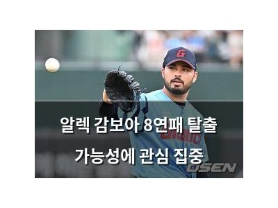 알렉 감보아 8연패 탈출 가능성에 관심 집중
