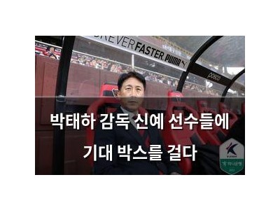 박태하 감독 신예 선수들에 기대 박스를 걸다