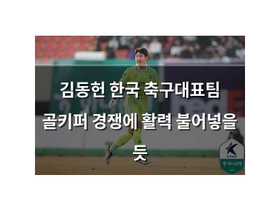 김동헌 한국 축구대표팀 골키퍼 경쟁에 활력 불어넣을 듯