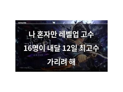 나 혼자만 레벨업 고수 16명이 내달 12일 최고수 가리려 해
