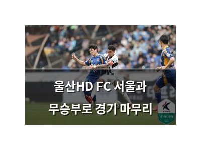 울산HD FC 서울과 무승부로 경기 마무리