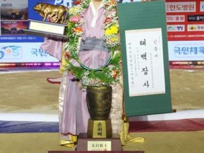 윤필재 군복무 끝나자마자 태백장사 올라 화제