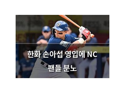 한화 손아섭 영입에 NC 팬들 분노