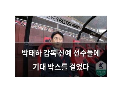 박태하 감독 신예 선수들에 기대 박스를 걸었다