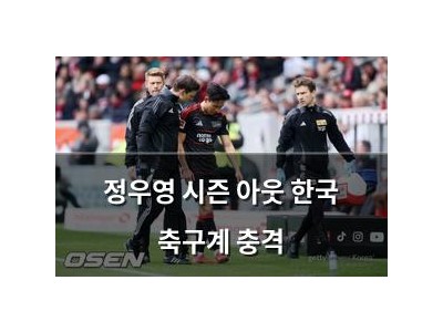 정우영 시즌 아웃 한국 축구계 충격