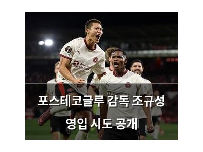 포스테코글루 감독 조규성 영입 시도 공개
