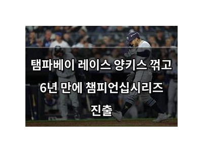 탬파베이 레이스 양키스 꺾고 6년 만에 챔피언십시리즈 진출